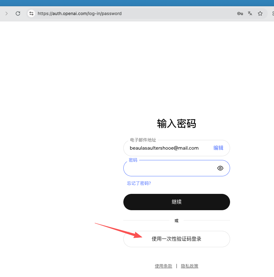 ChatGPT 一次性验证码登录